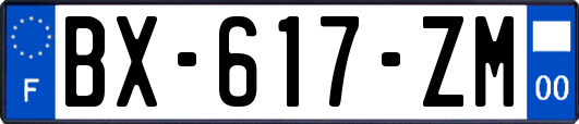 BX-617-ZM