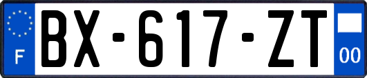 BX-617-ZT