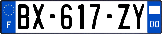 BX-617-ZY