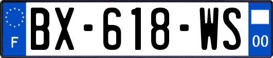 BX-618-WS