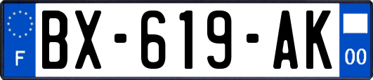 BX-619-AK