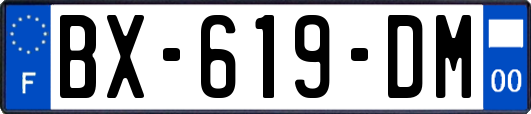 BX-619-DM