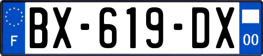 BX-619-DX