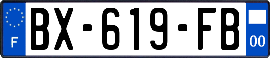 BX-619-FB