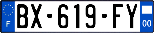 BX-619-FY