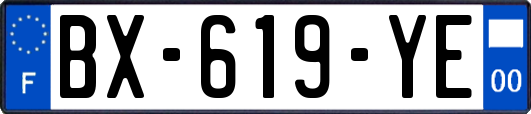 BX-619-YE