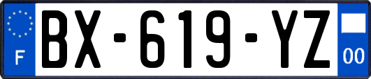 BX-619-YZ