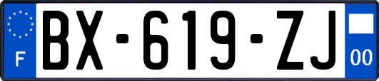 BX-619-ZJ