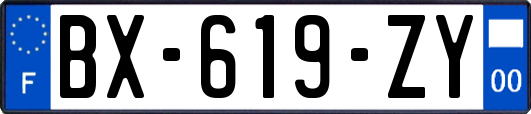BX-619-ZY