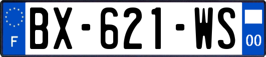 BX-621-WS