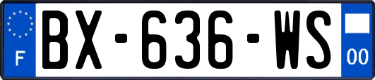 BX-636-WS