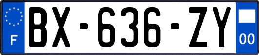 BX-636-ZY