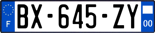 BX-645-ZY