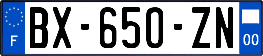 BX-650-ZN