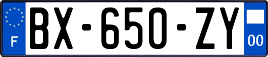 BX-650-ZY