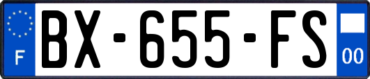 BX-655-FS