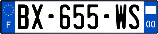 BX-655-WS