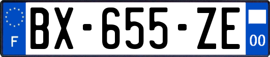 BX-655-ZE