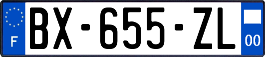 BX-655-ZL