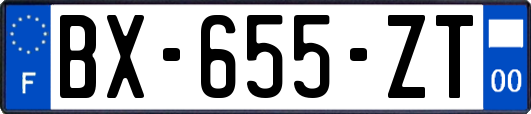BX-655-ZT