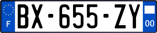 BX-655-ZY