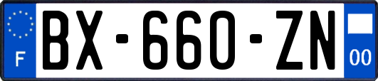 BX-660-ZN