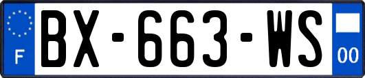 BX-663-WS