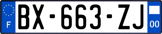 BX-663-ZJ