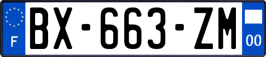 BX-663-ZM