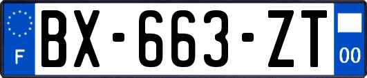 BX-663-ZT