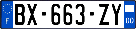 BX-663-ZY