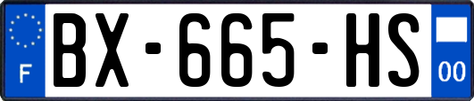 BX-665-HS