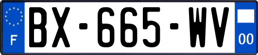 BX-665-WV