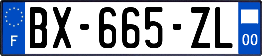 BX-665-ZL