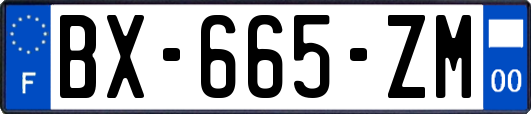 BX-665-ZM