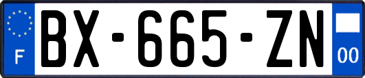 BX-665-ZN