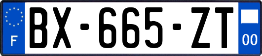BX-665-ZT