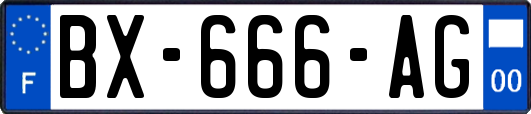 BX-666-AG