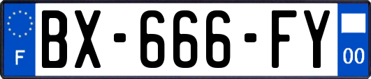 BX-666-FY