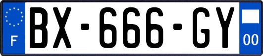 BX-666-GY