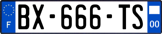 BX-666-TS