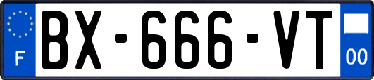 BX-666-VT