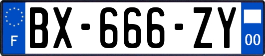 BX-666-ZY