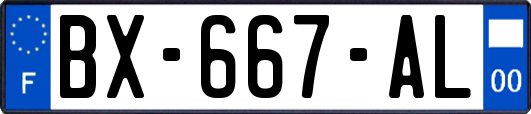 BX-667-AL