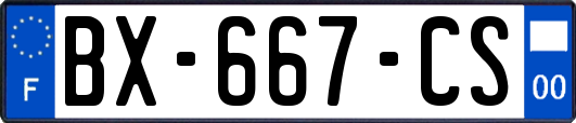 BX-667-CS