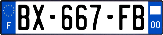 BX-667-FB