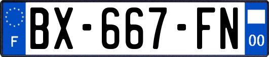 BX-667-FN