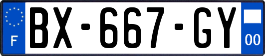 BX-667-GY