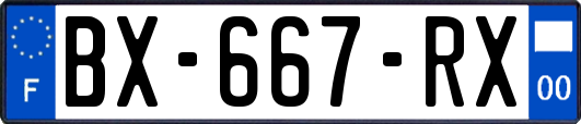 BX-667-RX