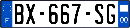 BX-667-SG